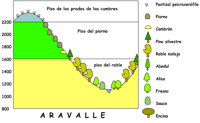catena Aravalle